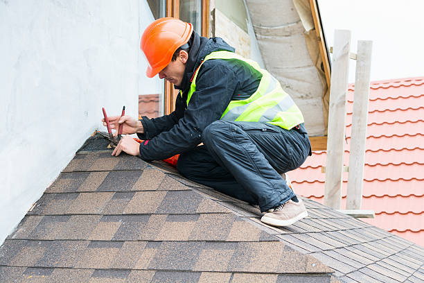 Best Roof Gutter Cleaning  in Weston, WV